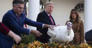 Trump pokes fun at impeachment inquiry in annual turkey pardoning “They have already received subpoenas to appear in Adam Schiff’s basement on Thursday,” Trump jokes about the birds.
