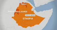Ethiopian military ‘kills 42 people involved in deadly attack’ State-affiliated Fana TV reported weapons were also seized from men accused of killing over 100 people on Wednesday.