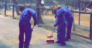 Man who fed cat to dogs ordered to clean Dubai Zoo
