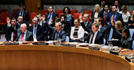 UN Security Council unanimously backs Syria ceasefire