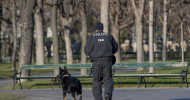 One arrest after four injured in separate Vienna knife attacks