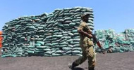Iran is new transit point for Somali charcoal in illicit trade taxed by militants: U.N. report
