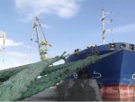 Ukraine Demands Seizure of Russian Ship Carrying Stolen Grain