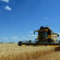 Ukrainian Farmers Already Harvested More than 20 Million Tonnes of Grain