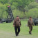 Kim Jong Un leads salvo missile launch in first test of ‘nuclear trigger’ system- Colin Zwirko April 23
